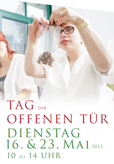 Flyer Tag der offenen Tür