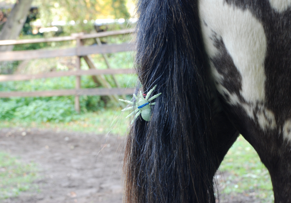 Halloweenreiten